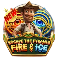 pp image